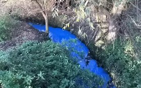 Đã tìm ra nguyên nhân gây biến đổi màu bí ẩn dòng sông ở Anh