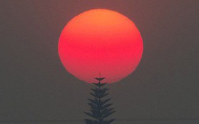 7 ngày qua ảnh: Mặt trời đỏ rực trong cháy rừng ở Mỹ