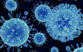 Đừng chủ quan với loại "virus mùa đông" gây ra bệnh tiêu chảy, nôn mửa, đau bụng