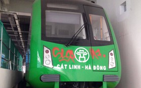 Người bôi bẩn đoàn tàu đường sắt trên cao Cát Linh - Hà Đông bằng hình vẽ graffiti có thể đối diện án tù giam