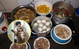 Dân mạng lại tranh cãi với thực đơn quá sang chảnh của chú chó Alaska