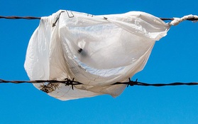 Quốc gia này tẩy chay túi nylon đến nỗi sẵn sàng phạt tù bất kỳ ai sử dụng nó