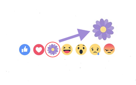 Facebook giờ còn có nút reaction "thả hoa", lí do sẽ khiến bạn rất bất ngờ đấy