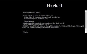 2 hacker 15 tuổi tấn công vào website của các sân bay trong nước vì muốn thể hiện thành tích