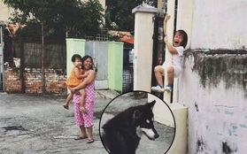 Nổi nhất Facebook: Bức ảnh bé gái khóc thét vì sợ chó, leo tót lên cột điện