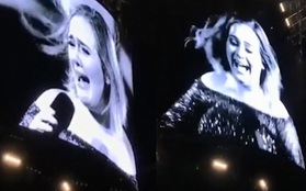 Siêu cấp đáng yêu: Adele bù lu bù loa trên sân khấu vì bị muỗi cắn