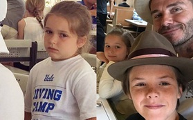 Harper Beckham xuất hiện phúng phính đáng yêu khi đi ăn cùng gia đình