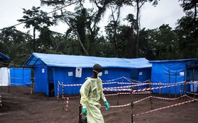 Congo thông báo 5 người tử vong do Ebola- Nhân viên LHQ cũng bị nhiễm