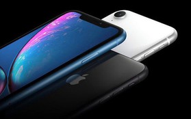 "Thầy phán" Ming-Chi Kuo: iPhone XR sẽ giúp Apple lấy lại thị phần ở Trung Quốc khi các hãng nội địa dần suy yếu