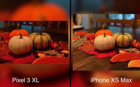 So sánh ảnh chụp của iPhone Xs Max và Pixel 3 XL: Đâu là ông vua camera?