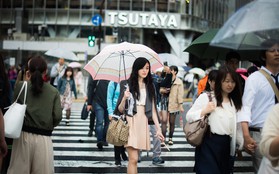 Vì sao những món đồ thất lạc ở Nhật Bản lại có thể tìm về với chủ? Sự trung thực chỉ là 1 trong các lí do