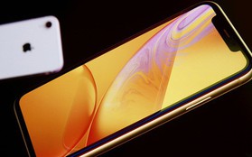 iPhone XR đè bẹp tất cả đối thủ Android cùng tầm giá về tốc độ, kể cả "ông vua" Galaxy Note 9