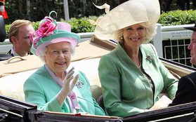 Không dưới 3 lần “đụng” đồ rực rỡ với Nữ hoàng Anh, bà Camilla chính là nữ nhân Hoàng gia duy nhất dám làm vậy