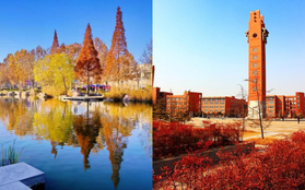 Ngất ngây ngắm trọn những trường Đại học có mùa thu đẹp nhất Trung Quốc