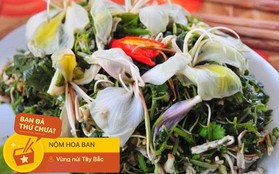 Có ai nghĩ rằng loài hoa Tây Bắc năm nào giới trẻ cũng tìm để "sống ảo" lại có thể ăn được và rất ngon là đằng khác