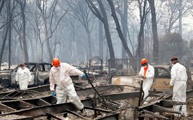 Thảm họa cháy rừng ở California: Tiến hành nhận dạng các nạn nhân qua ADN