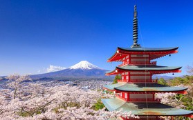 Top 3 địa điểm các tín đồ yêu da không thể bỏ lỡ khi đến Nhật