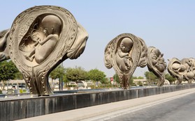 Qatar: 14 bức tượng khắc họa quá trình từ phôi thai đến trẻ sơ sinh trưng bày nơi công cộng gây tranh cãi