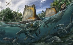 Spinosaurus - loài khủng long kỳ cục nhất thời cổ đại: săn cá như thần mà không thể bơi lội