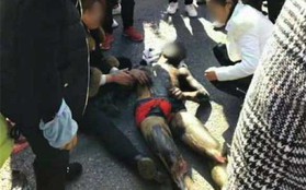 Trung Quốc: Bị bạn bè xông vào "quấy" lúc động phòng, chú rể trần như nhộng bỏ chạy ra đường rồi bị ô tô đâm nhập viện