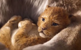 Làm lại The Lion King và loạt phim kinh điển, liệu Disney có đi vào lối mòn sáng tạo?