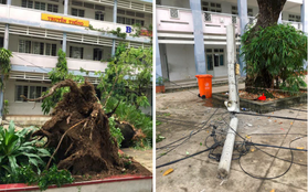Trường ngập, cây và cột điện ngã ngổn ngang, 2 ngôi trường tại TPHCM cho học sinh nghỉ học đến hết ngày 27/11