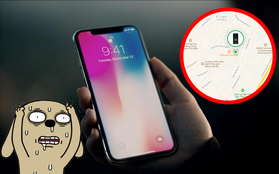 Tháng trước bị trộm iPhone X ở Mỹ, nay dò tín hiệu thấy "dế yêu" đang lưu lạc ở Sài Gòn?