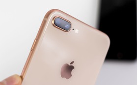 Apple bắt đầu bán iPhone 8 và 8 Plus Refurbished (tân trang), giá rẻ hơn 2,3 triệu đồng