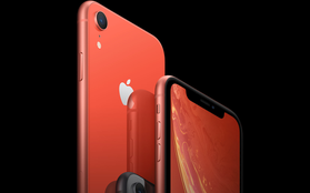 iPhone XR bị Apple "ghẻ lạnh" hủy kế hoạch sản xuất, sẽ đi theo vết xe đổ của iPhone 5C?