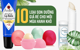 10 thỏi son dưỡng cứu cánh cho làn môi khô nứt nẻ trong mùa hanh khô