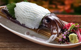 Sửng sốt với mực sống chế biến theo phong cách Nhật Bản tại Sushi Hokkaido Sachi