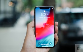 2018 là năm của "tai thỏ" smartphone, tiếp theo sẽ là xu hướng mới nào?