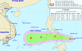 Áp thấp có thể mạnh lên thành bão, hướng vào Nam Bộ dịp Tết Dương lịch