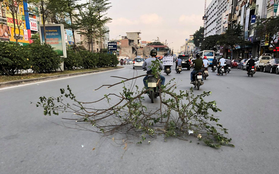 Clip: Thanh niên buộc nguyên cành cây lớn vào xe máy quét dọc đường Trường Chinh