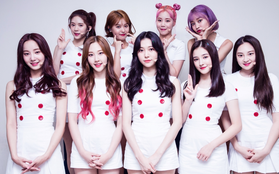 Nhìn MOMOLAND vừa đạt thành tích này, mới giật mình không tin gà nhà SM còn chưa ai chạm tới được