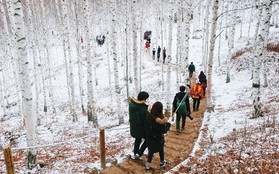 Đến xứ Hàn, thực hiện giấc mơ chạm vào tuyết trắng