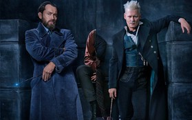 Fan thất vọng vì "Fantastic Beasts 2" sẽ không đi sâu vào mối quan hệ đồng tính của thầy Dumbledore