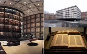 Ghé thăm thư viện Đại học Yale - thiết kế đặc biệt bảo vệ kho tàng sách hiếm nhất thế giới