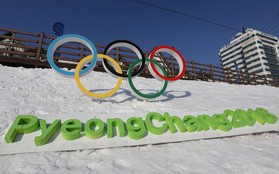 Vừa khai mạc, Olympic PyeongChang đã bị hacker tấn công