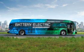 Triển vọng năng lượng sáng sủa: Hơn một nửa xe buýt công cộng sẽ trở thành xe buýt điện vào năm 2025