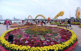 Đường hoa Xuân gần chục tỷ đồng ở Đà Nẵng thu hút người dân và du khách
