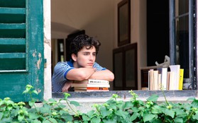 Sẽ ra sao nếu Lady Bird và Call Me by Your Name cùng thuộc “vũ trụ Oscar”?