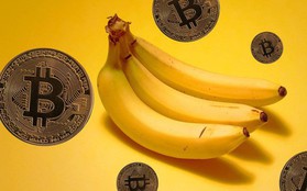 Bananacoin - Đồng tiền chuối, có trị giá bằng 1 cân chuối