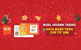 Lập đàn cầu mưa ngày Noel vì không gấu đi chơi xưa rồi, người sang chảnh làm ngay điều này