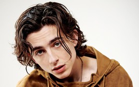 Hoàng tử "trái đào" Timothée Chalamet chuẩn bị làm thanh niên nghiện ngập và ông vua xứ Anh