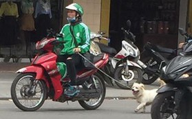 Thanh niên mặc đồng phục GrabBike tung tăng dắt chó đi dạo giữa phố đông