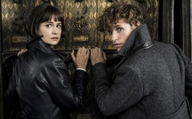 9 bí mật đã được bật mí ngay trong trailer của "Fantastic Beasts 2"