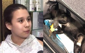 Bé gái 11 tuổi nhớ lại khoảnh khắc chú chó cưng chết ngạt khi bị ép lên khoang hành lý của hãng United Airlines