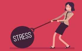 Phát điên vì stress, chỉ cần nghe bản nhạc của các nhà thần kinh học ở Anh này