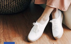 Không chỉ giới hạn trong một BST, đây là những mẫu sneaker của Keds mà phái đẹp không thể làm ngơ